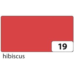 Fotokarton 300g A4 50Bl hibiscus
