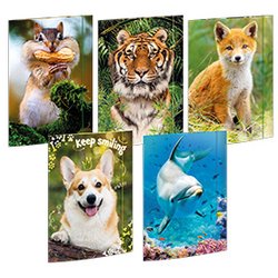 Zeichenmappe Sortierung Tiere A3 mit Gummiverschluss