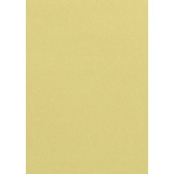 Colorpapier Pollen 80g A4 chamois 100Bl