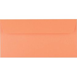 Briefumschlag DIN Lang clementine  120g/m² 20St