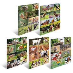 Sammelmappe A3 Karton Tierwelten
