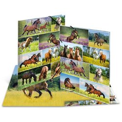 Sammelmappen Sortiment A3 Karton Pferdewiese