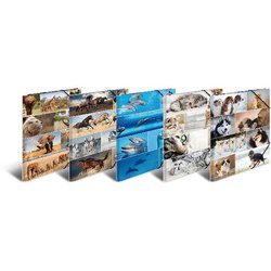 Sammelmappen Animals A3 Karton