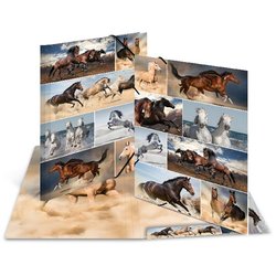 Sammelmappe A3 Karton Pferde