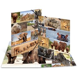 Sammelmappe A3 Karton Afrika Tiere