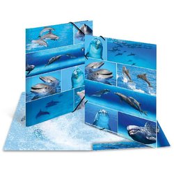 Sammelmappe A3 Karton Delfine