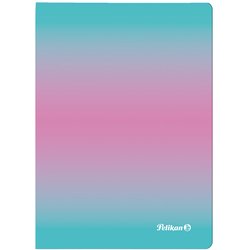 Notizbuch A5 80 Blatt kariert ColorEdition mint/rosa